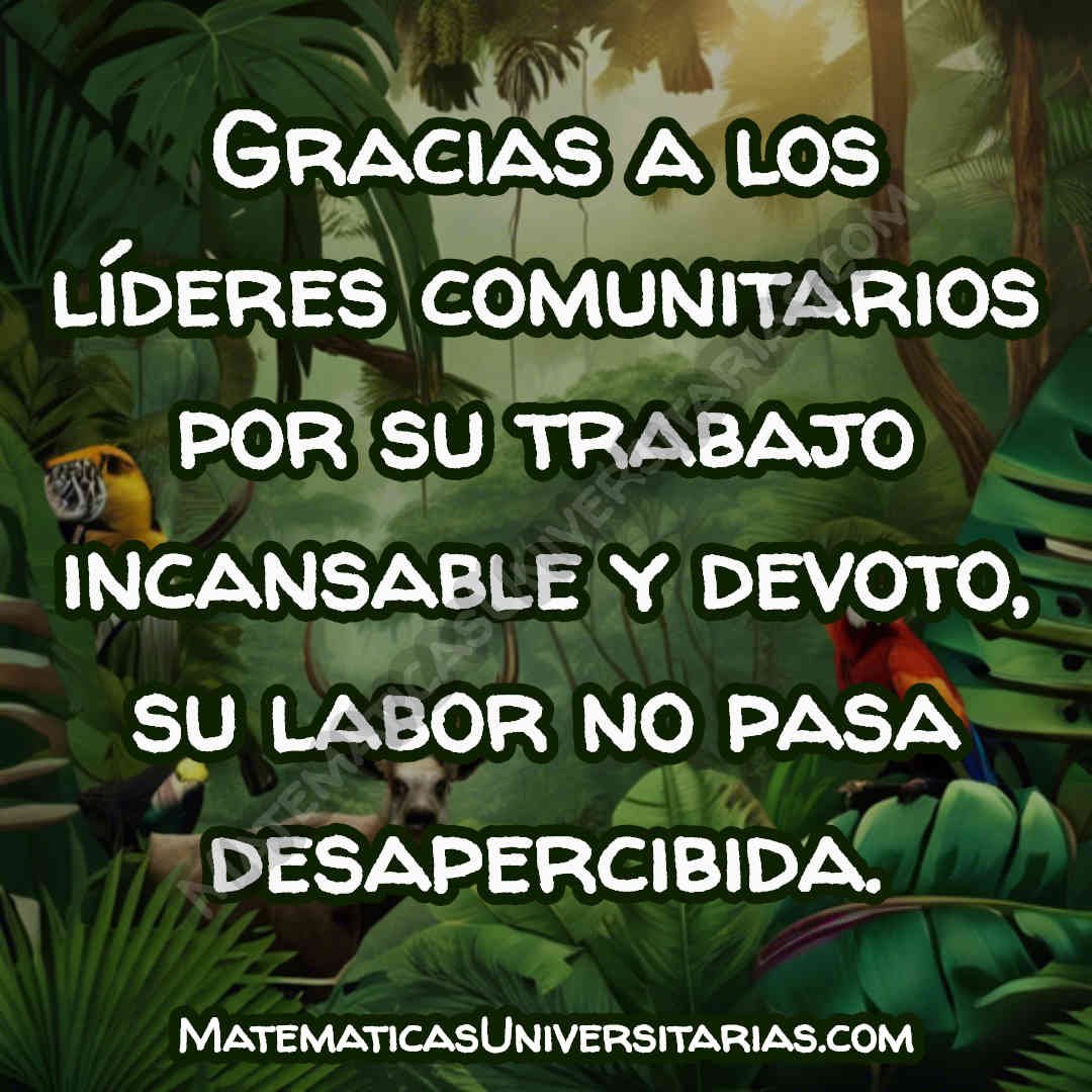 palabras para dar gracias en un agradecimiento a los líderes comunitarios por su labor