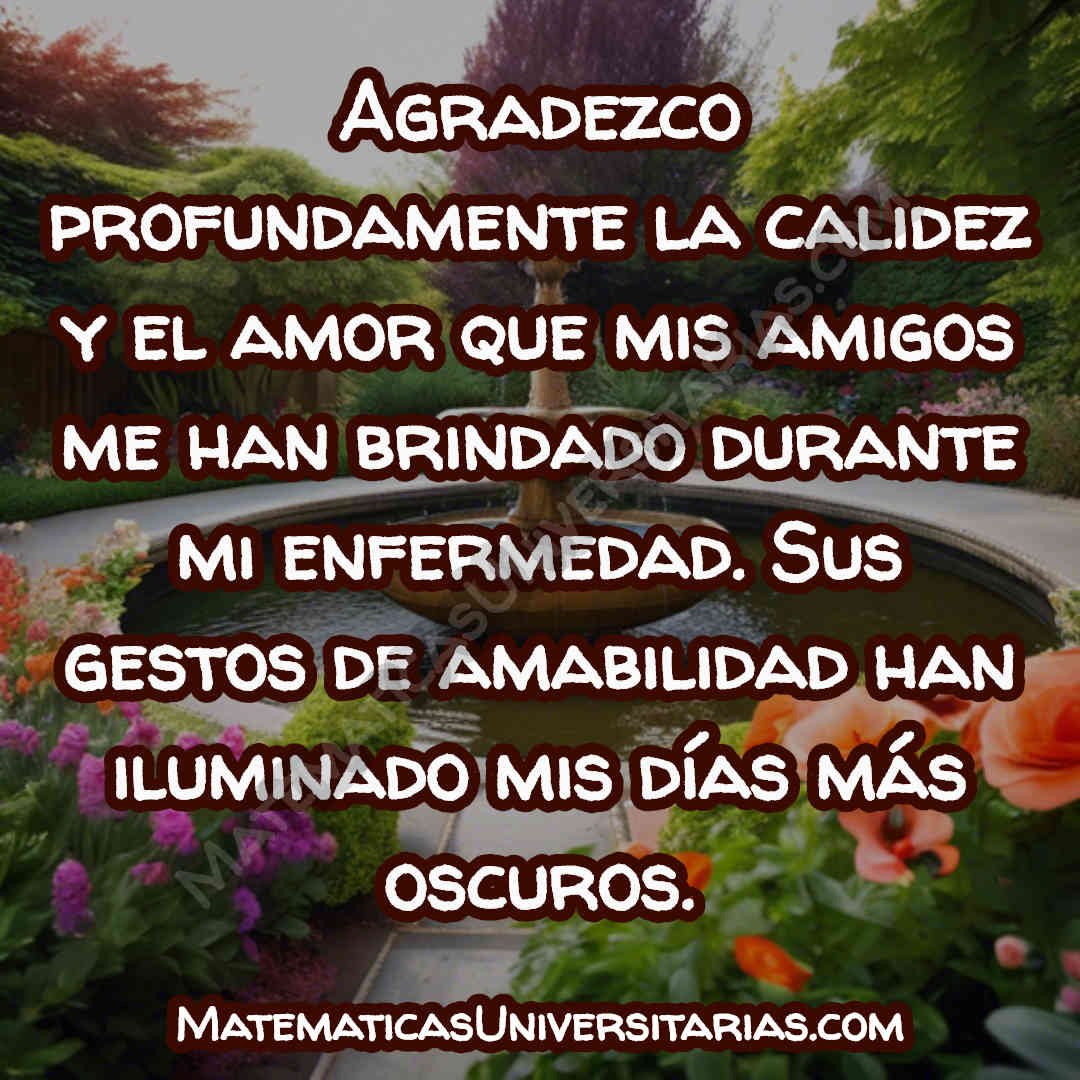 imagen con palabras de agradecimiento durante enfermedades a amigos